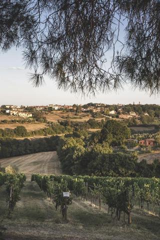 Fotos del hotel - AL POGGIO DEI PAPI