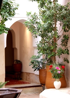 Fotos del hotel - Dar Rania