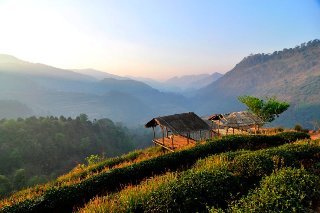 Fotos del hotel - ANGKHANG NATURE RESORT