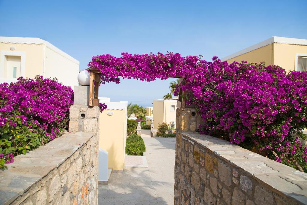 Fotos del hotel - KOUROS PALACE HOTEL