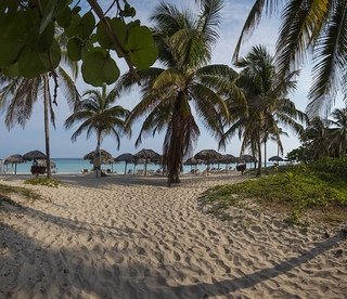 Fotos del hotel - GRAN CARIBE SUNBEACH