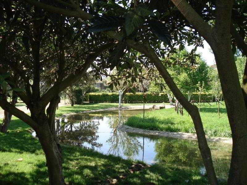 Fotos del hotel - QUINTA DAS ALFAIAS - TURISMO RURAL