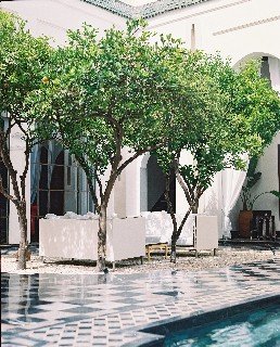 Fotos del hotel - RIAD LOTUS PRIVILEGE