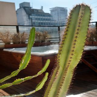 Fotos del hotel - Reino del Plata