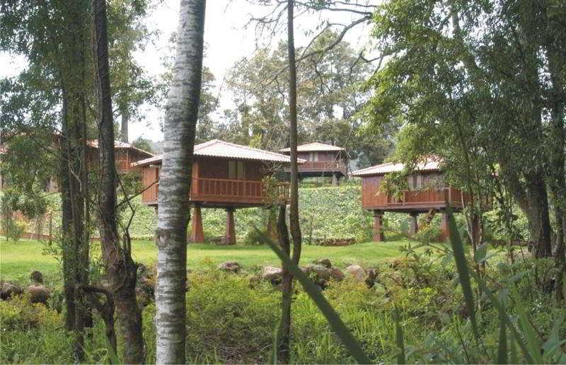 Fotos del hotel - QUINTA DAS EIRAS