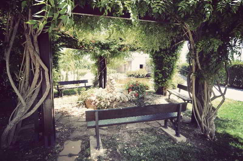 Fotos del hotel - Simba