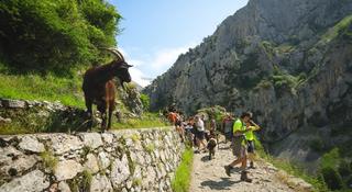 Fotos del hotel - Arcea Mirador de Cabrales