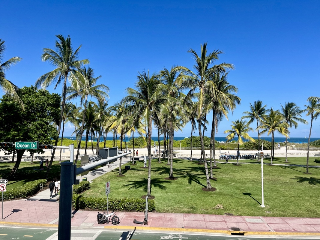 Fotos del hotel - MAJESTIC HOTEL SOUTH BEACH