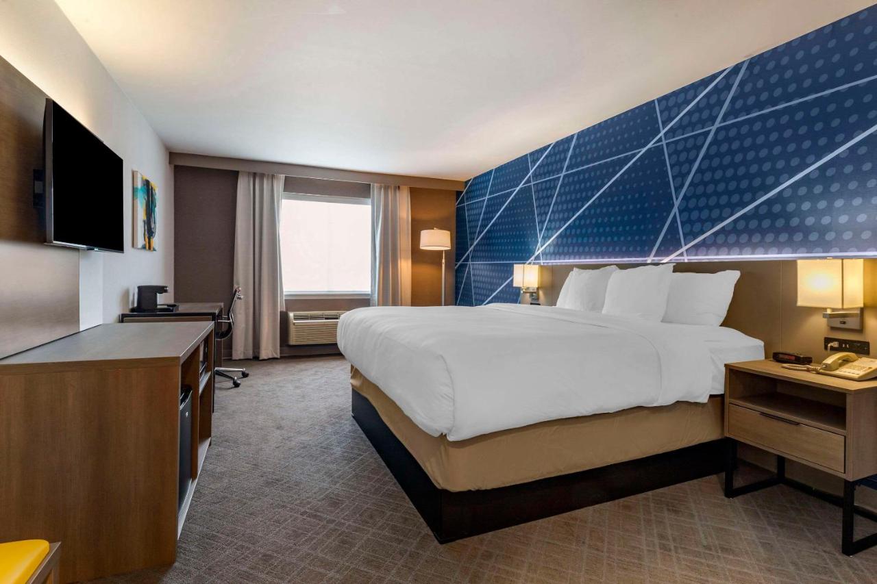 Fotos del hotel - COMFORT INN & SUITES EAST GREENBUSH-ALBANY
