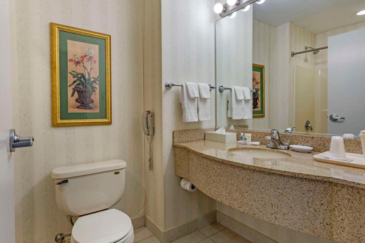 Fotos del hotel - COMFORT INN & SUITES EAST GREENBUSH-ALBANY