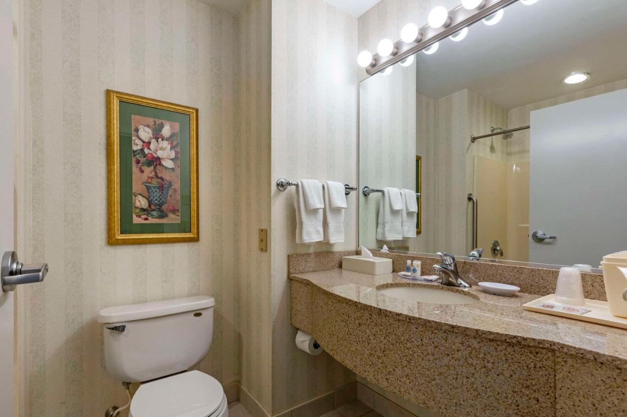 Fotos del hotel - COMFORT INN & SUITES EAST GREENBUSH-ALBANY