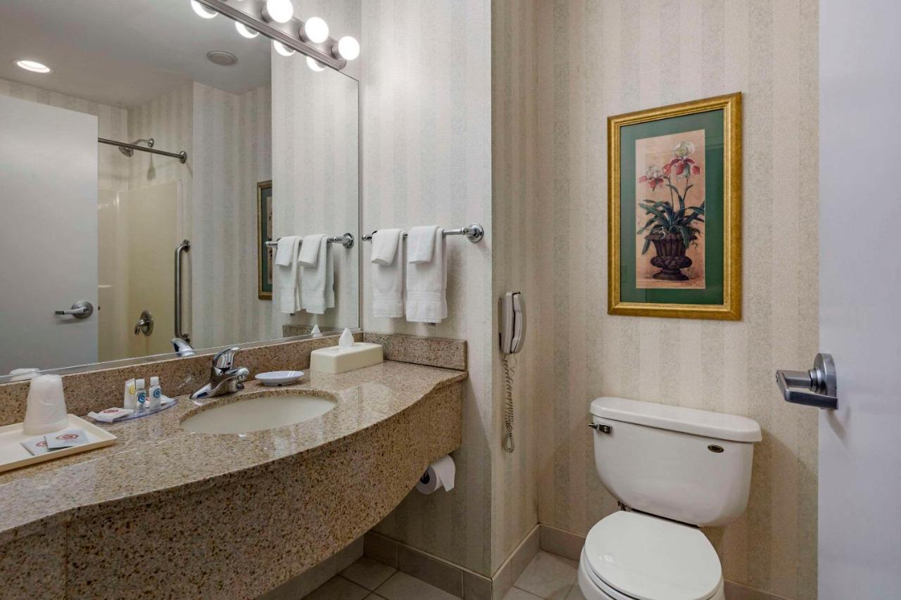 Fotos del hotel - COMFORT INN & SUITES EAST GREENBUSH-ALBANY