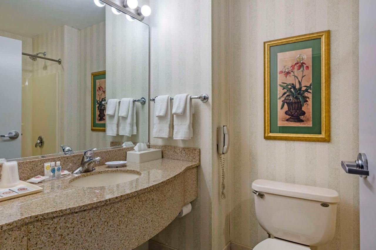 Fotos del hotel - COMFORT INN & SUITES EAST GREENBUSH-ALBANY