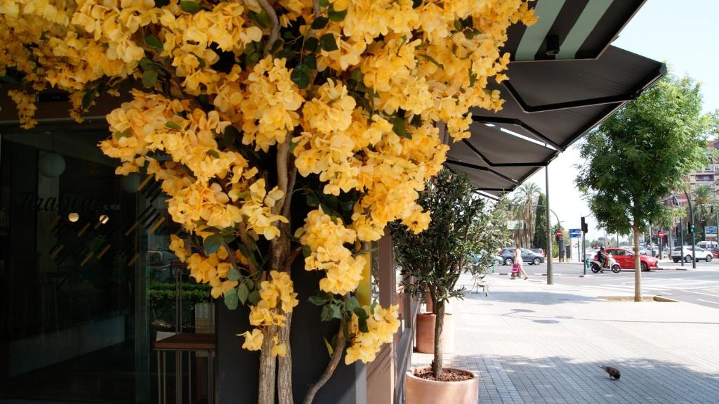 Fotos del hotel - SWEET HOTEL RENASA