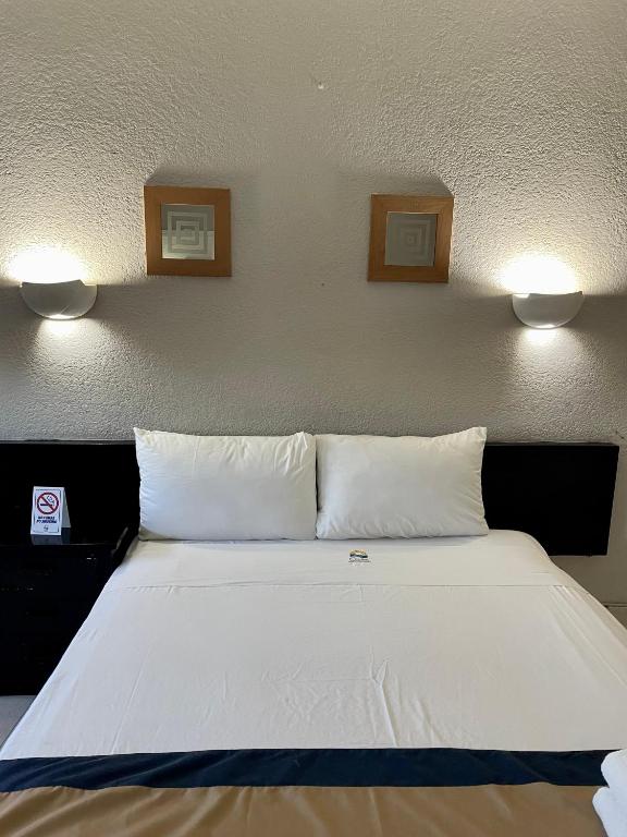 Fotos del hotel - CARIBE INTERNACIONAL HOTEL