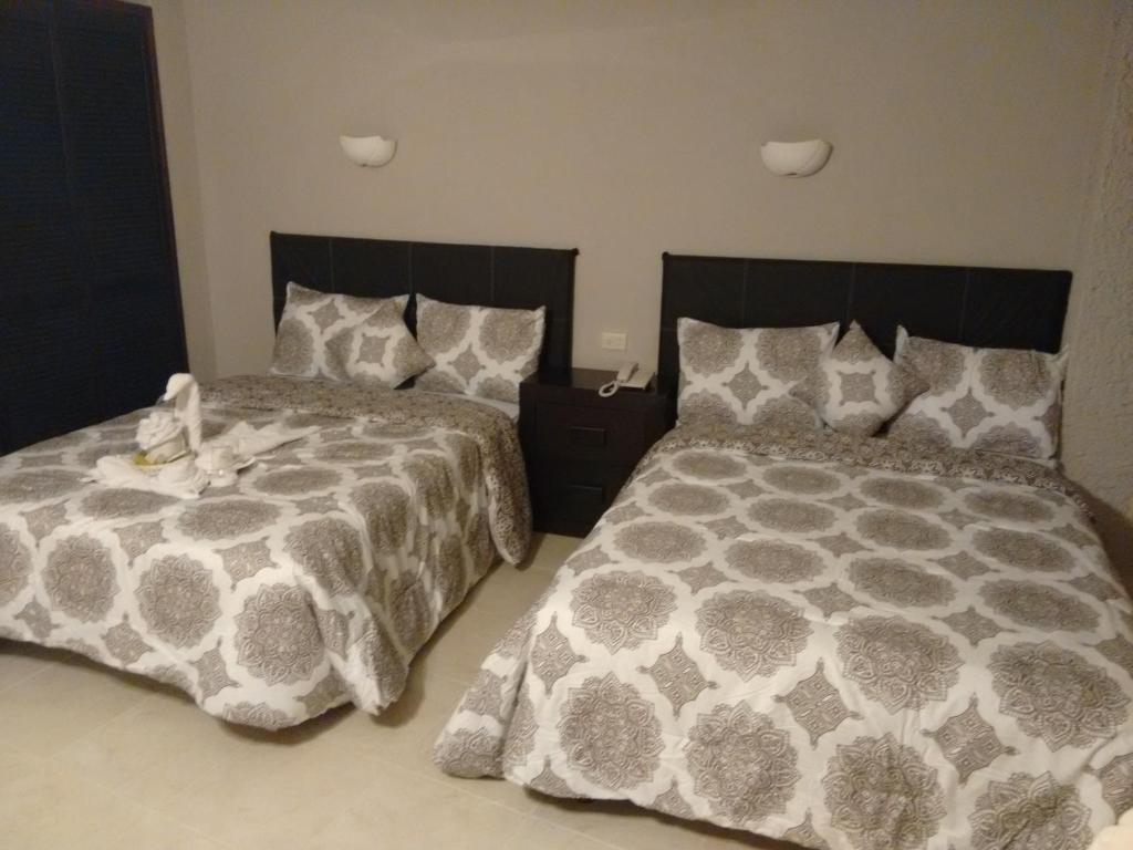 Fotos del hotel - CARIBE INTERNACIONAL HOTEL