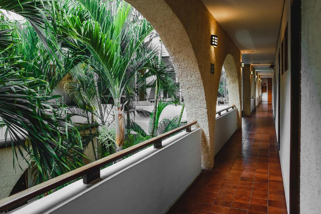 Fotos del hotel - Hotel Parador Cancun