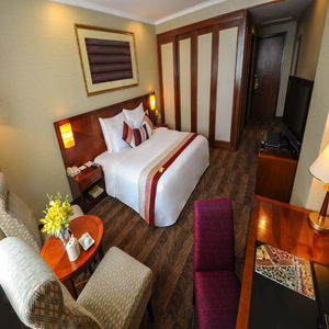 Fotos del hotel - WINDSOR PLAZA HOTEL