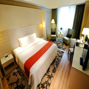 Fotos del hotel - WINDSOR PLAZA HOTEL