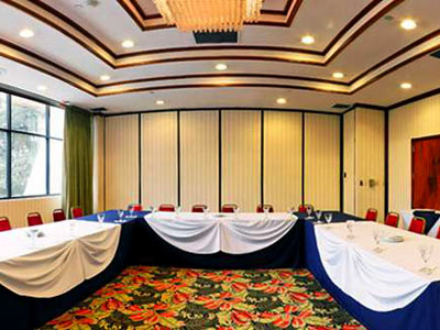 Fotos del hotel - HOLIDAY INN SAN JOSE AUROLA