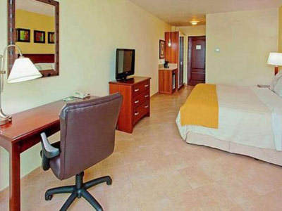 Fotos del hotel - HOLIDAY INN CITY OF KNOWLEDGE