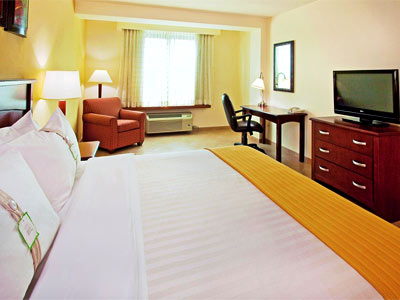 Fotos del hotel - HOLIDAY INN CITY OF KNOWLEDGE