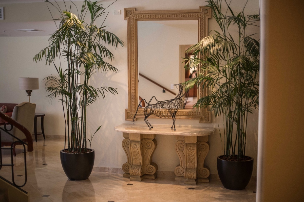 Fotos del hotel - LOS TALLANES & SUITES