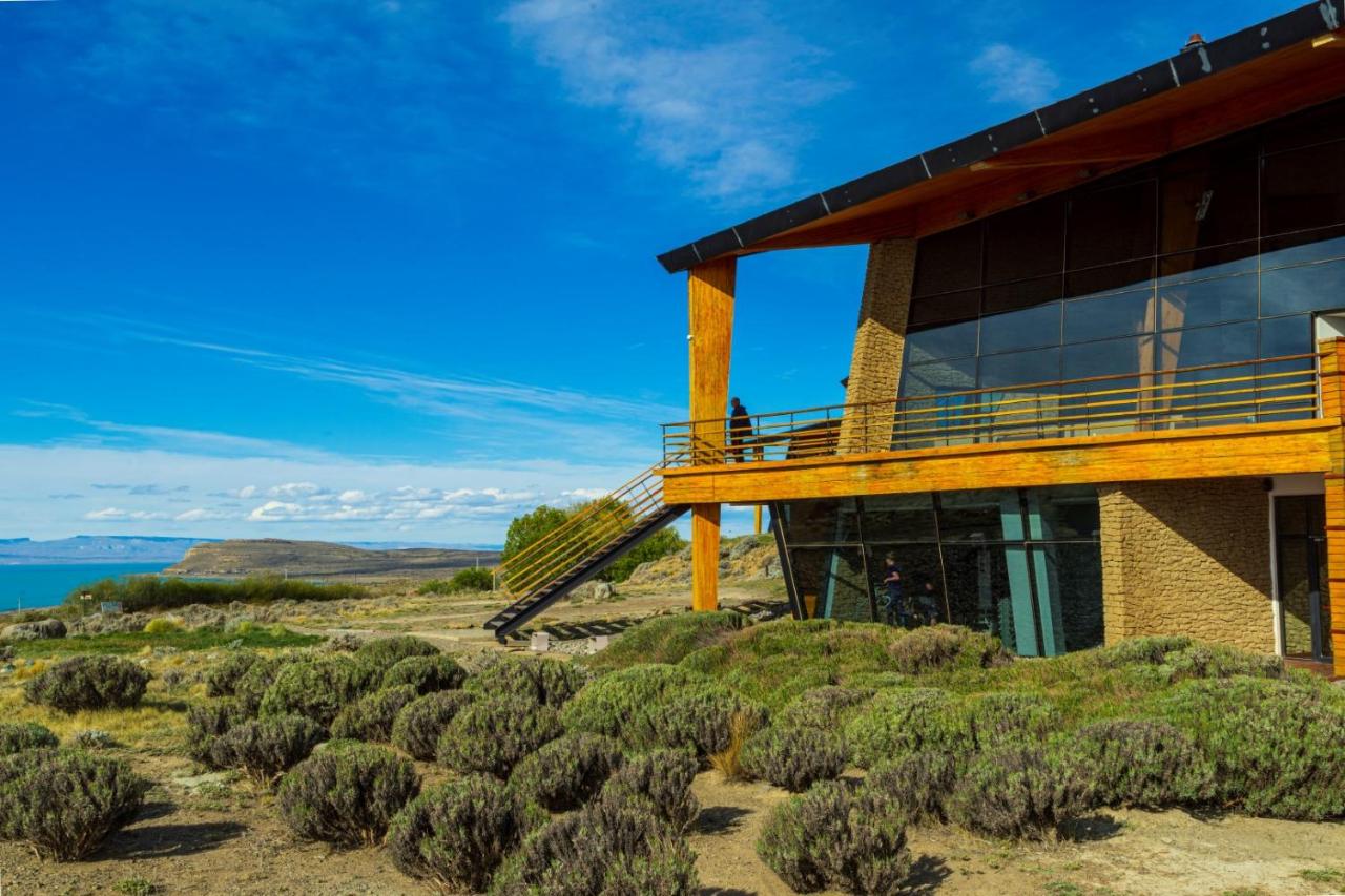 Fotos del hotel - DESIGN SUITES CALAFATE