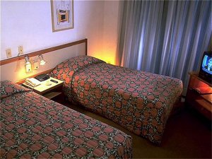 Fotos del hotel - TRAVEL INN SPACE VALLEY