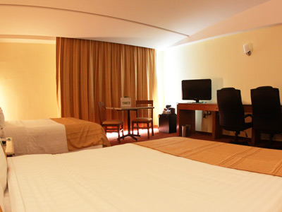 Fotos del hotel - HOLIDAY INN PUEBLA FINSA
