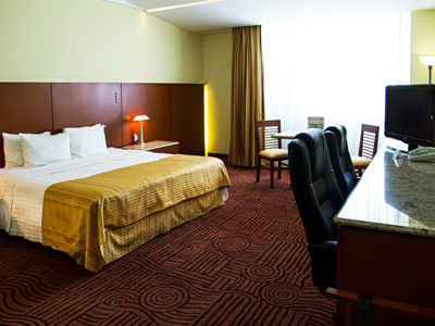 Fotos del hotel - HOLIDAY INN PUEBLA FINSA