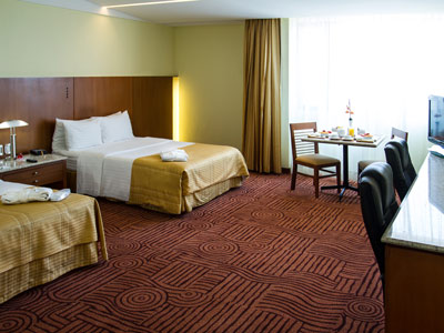 Fotos del hotel - HOLIDAY INN PUEBLA FINSA