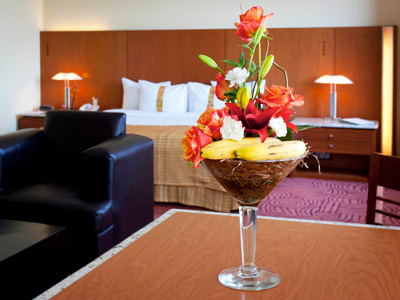 Fotos del hotel - HOLIDAY INN PUEBLA FINSA