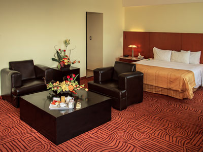 Fotos del hotel - HOLIDAY INN PUEBLA FINSA
