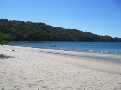 Fotos del hotel - Ecoplaya Beach Resort