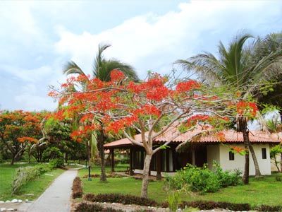 Fotos del hotel - Ecoplaya Beach Resort