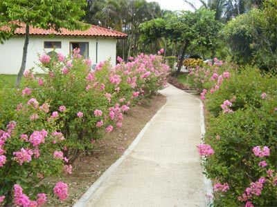 Fotos del hotel - Ecoplaya Beach Resort