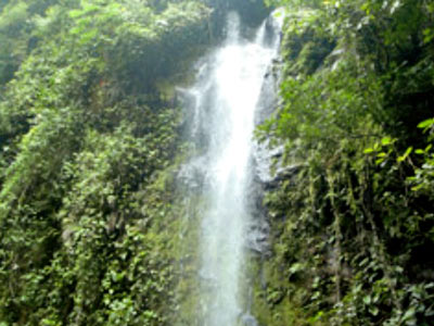 Fotos del hotel - BORINQUEN MOUNTAIN RESORT AND SPA