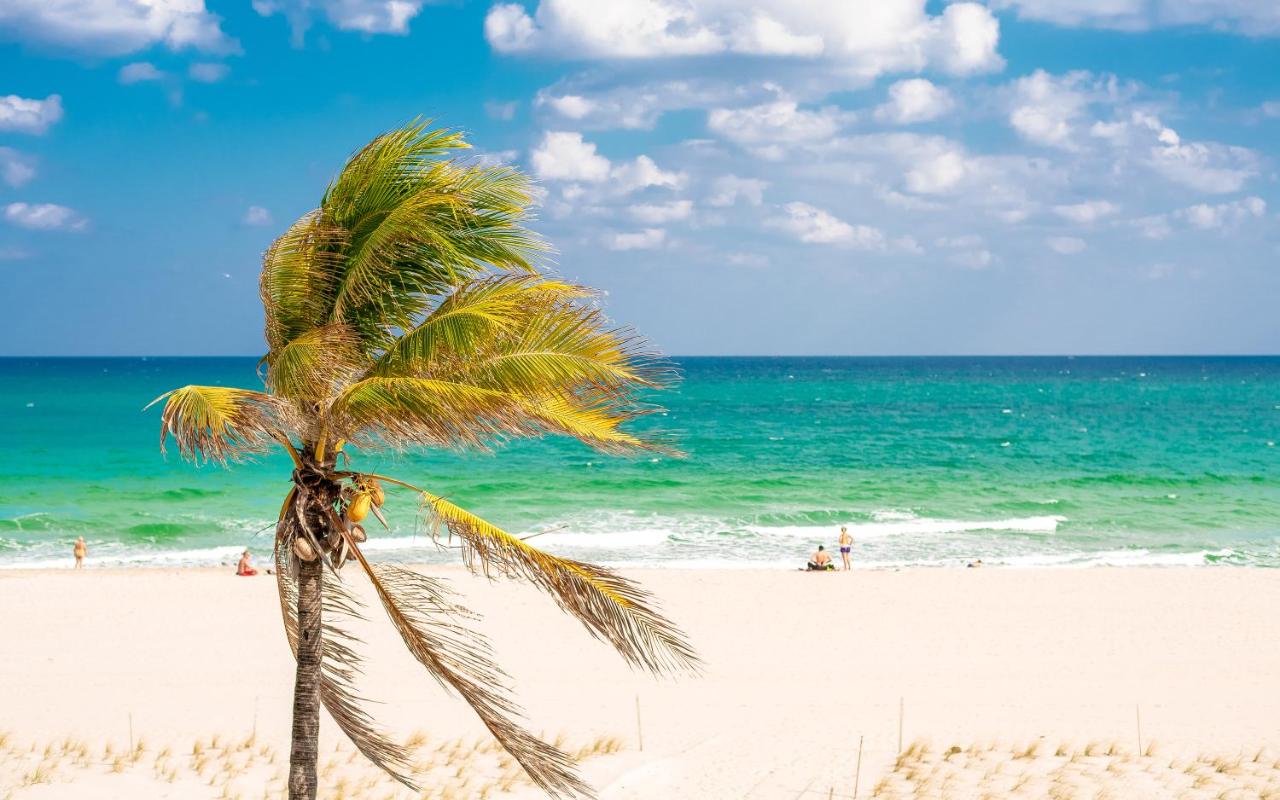 Fotos del hotel - PLUNGE BEACH RESORT