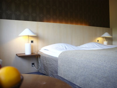 Fotos del hotel - LAUTRUPPARK