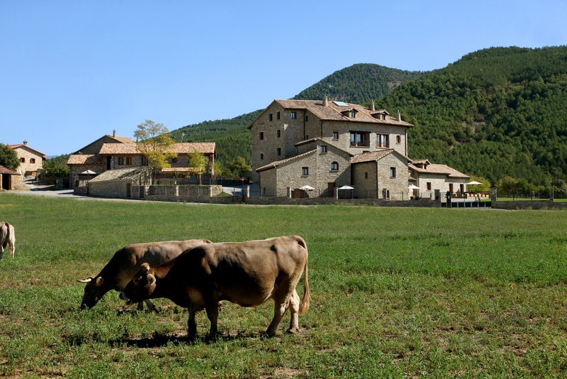 Fotos del hotel - CASA PIRINEO