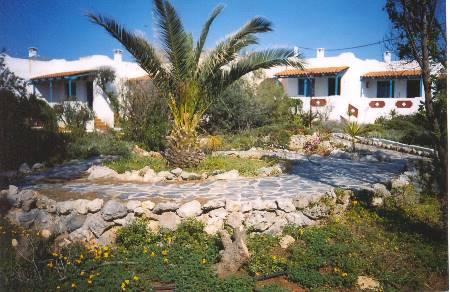 Fotos del hotel - ZORBAS BEACH VILLAGE HOTEL