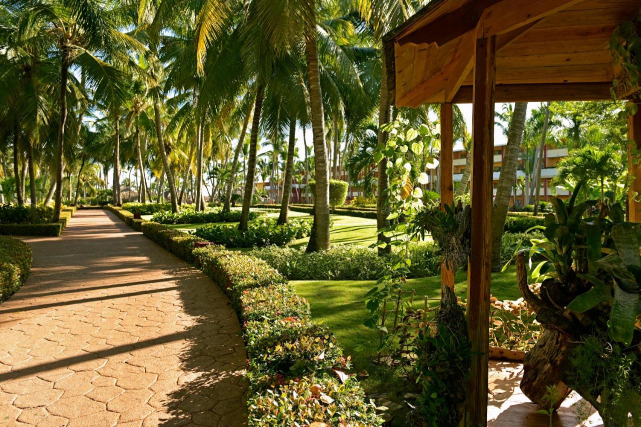 Fotos del hotel - IBEROSTAR PUNTA CANA