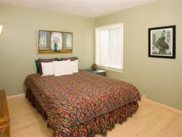 Fotos del hotel - SPECTACULAR SUTRO HEIGHTS 3 BEDROOM APARTMENT SLEEPS 4