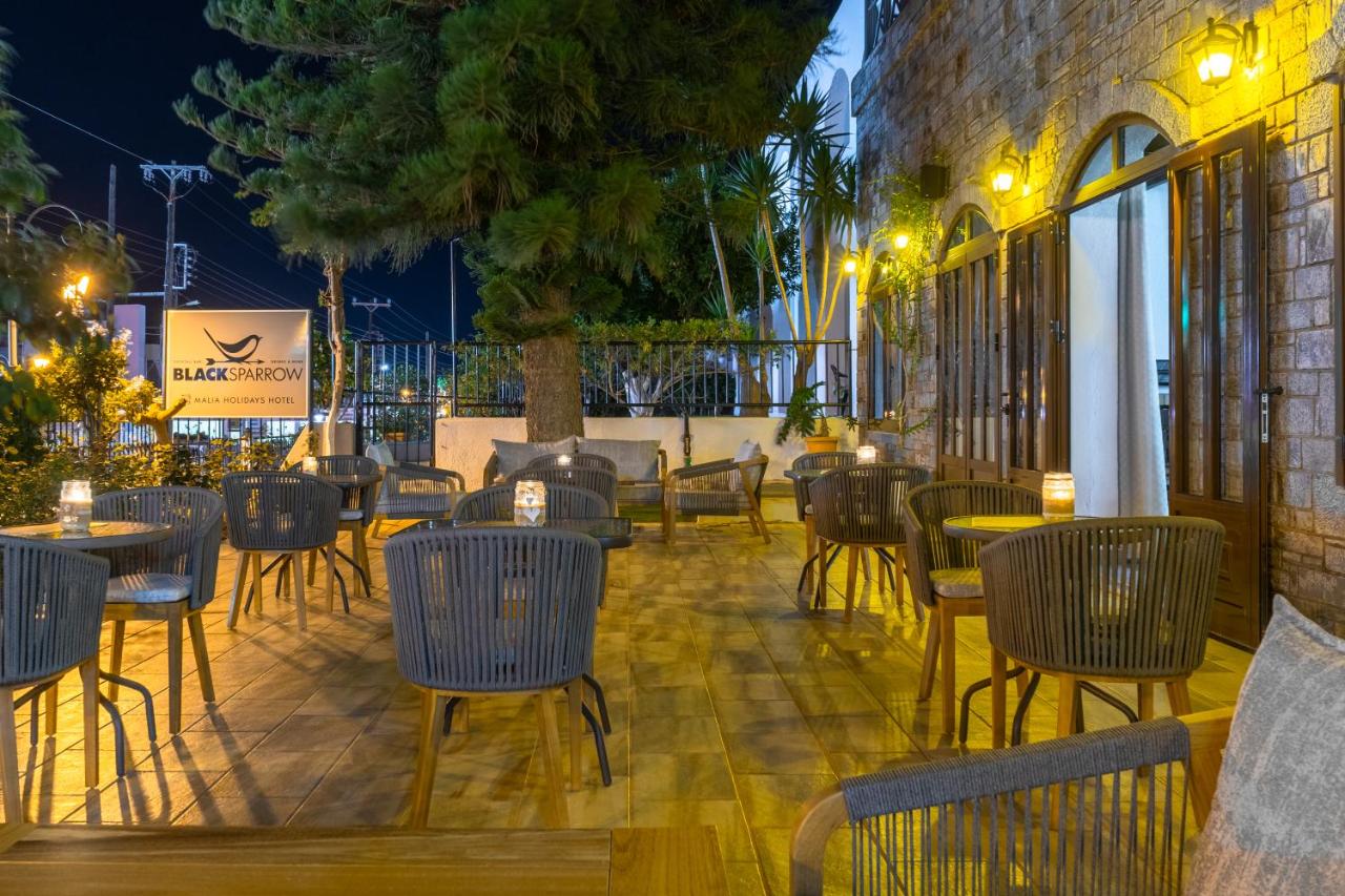 Fotos del hotel - MALIA HOLIDAYS
