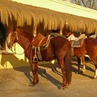 Fotos del hotel - ESTANCIA SAN PEDRO VIEJO