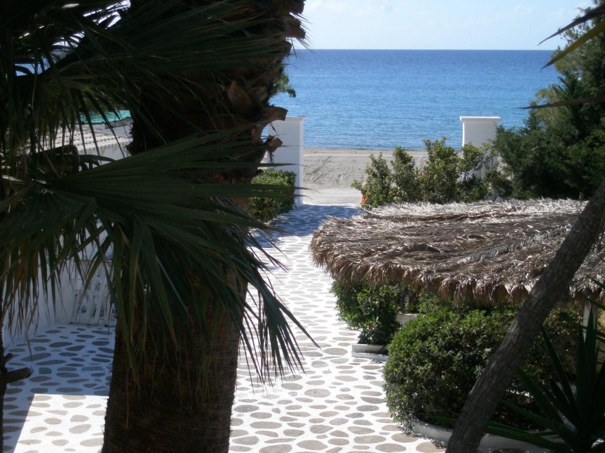 Fotos del hotel - AVRA PALM