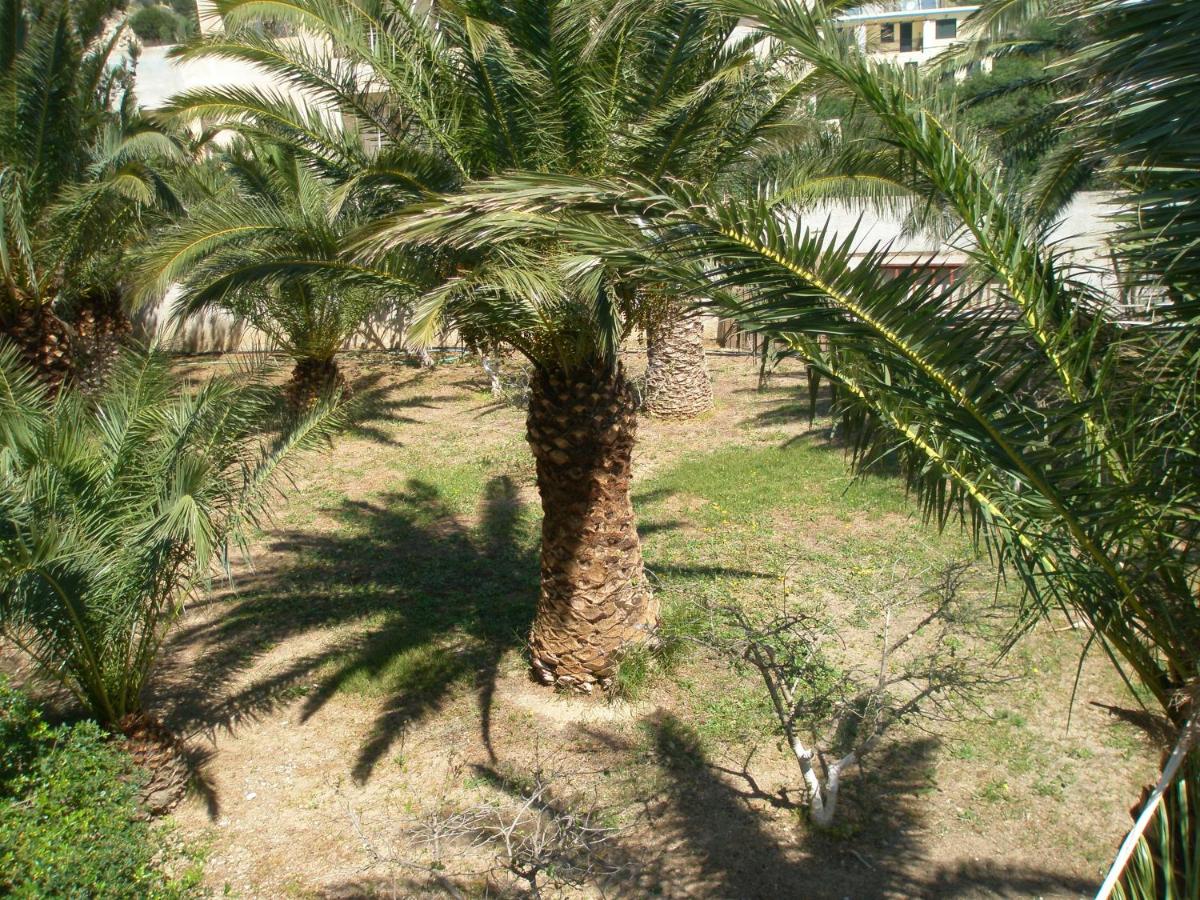 Fotos del hotel - AVRA PALM