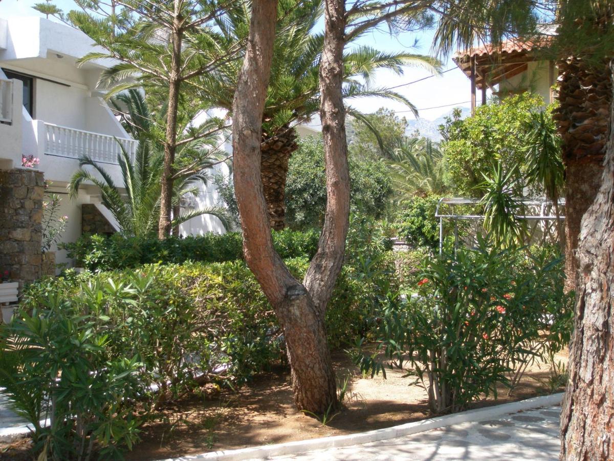 Fotos del hotel - AVRA PALM