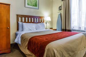 Fotos del hotel - RED LION INN & SUITES LONG ISLAND CITY
